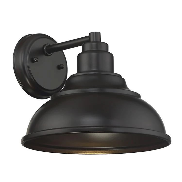 Dunston Single-Light Dark Sky Outdoor Wall Mount Sconce - Frankwebs