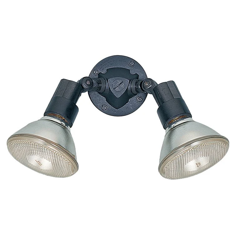 Flood Light Two-Light Adjustable Swivel Flood-Light - Frankwebs