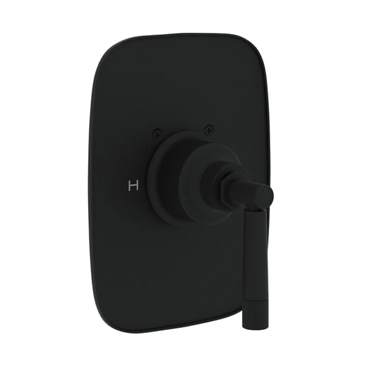 Thermostatic Trim Graceline Less Volume Control 1 Metal Lever Satin Nickel 3/4 Inch 12 Gallons per Minute - Frankwebs