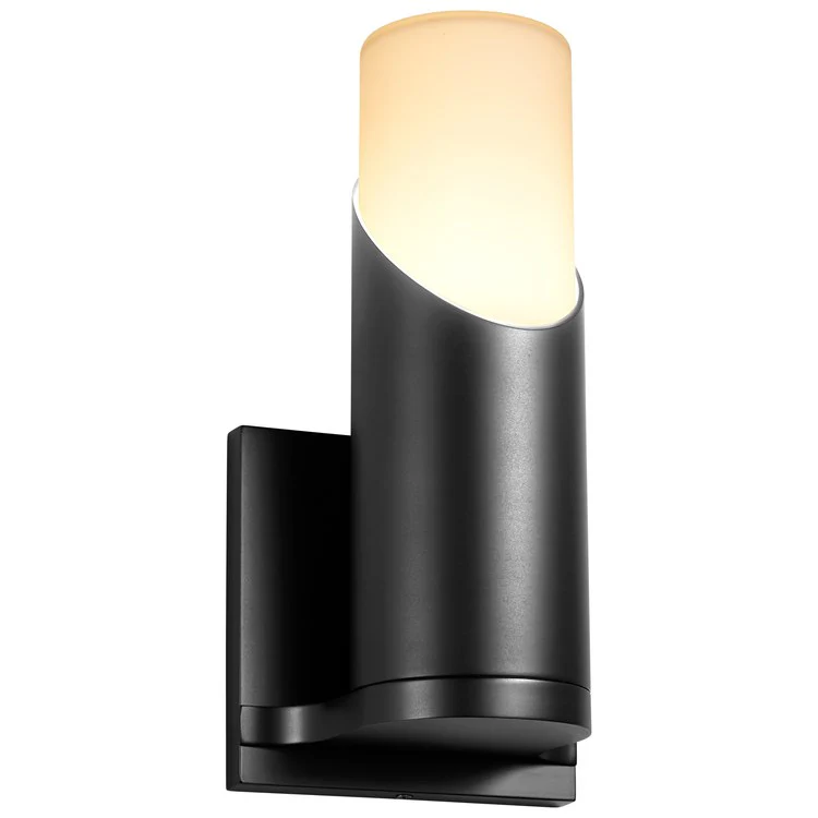 Ellipse Single-Light Wall Sconce with Glass Shade - Black - Frankwebs
