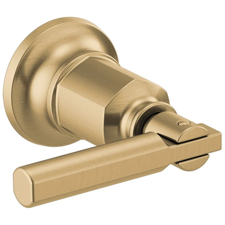 Handle Kit Invari Zinc 2 Lever Brilliance Luxe Gold for Wall Mount Tub Filler 2-5/8 Inch - Frankwebs
