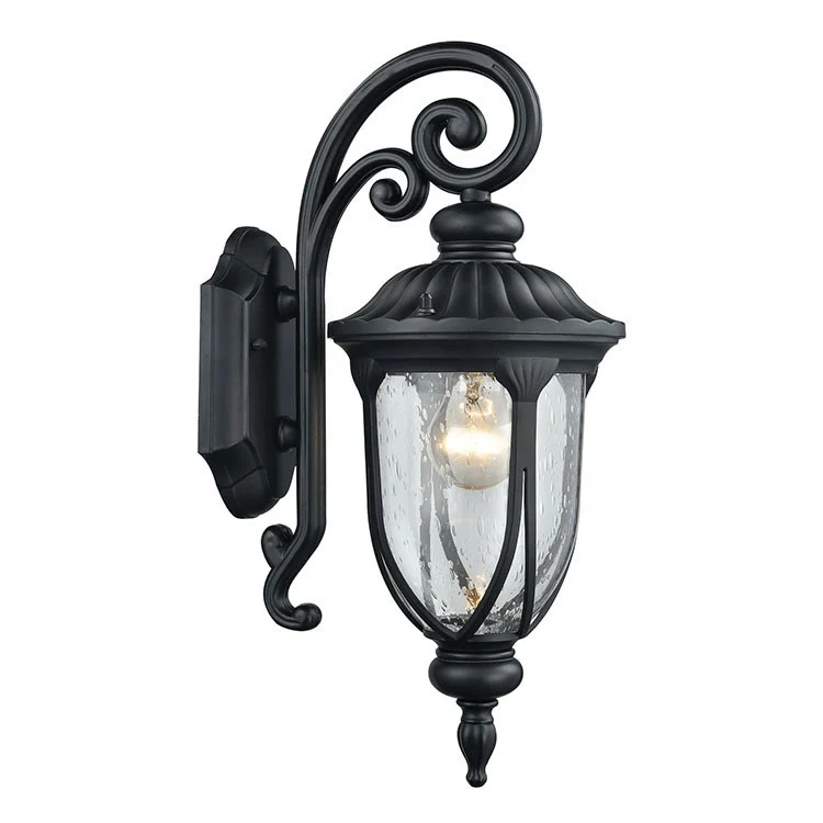 Derry Hill Single-Light Outdoor Wall Sconce - Frankwebs