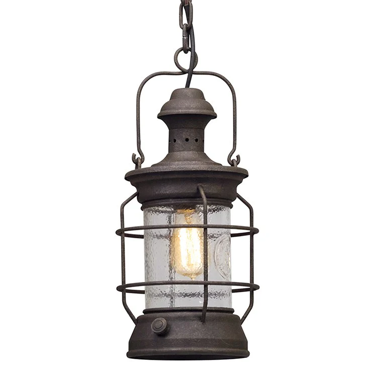 Atkins Single-Light Hanging Lantern - Frankwebs