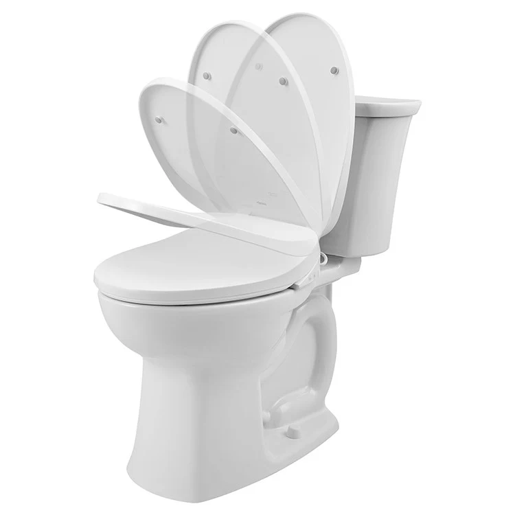 Aquawash 2.0 Manual SpaLet Bidet Seat - Frankwebs