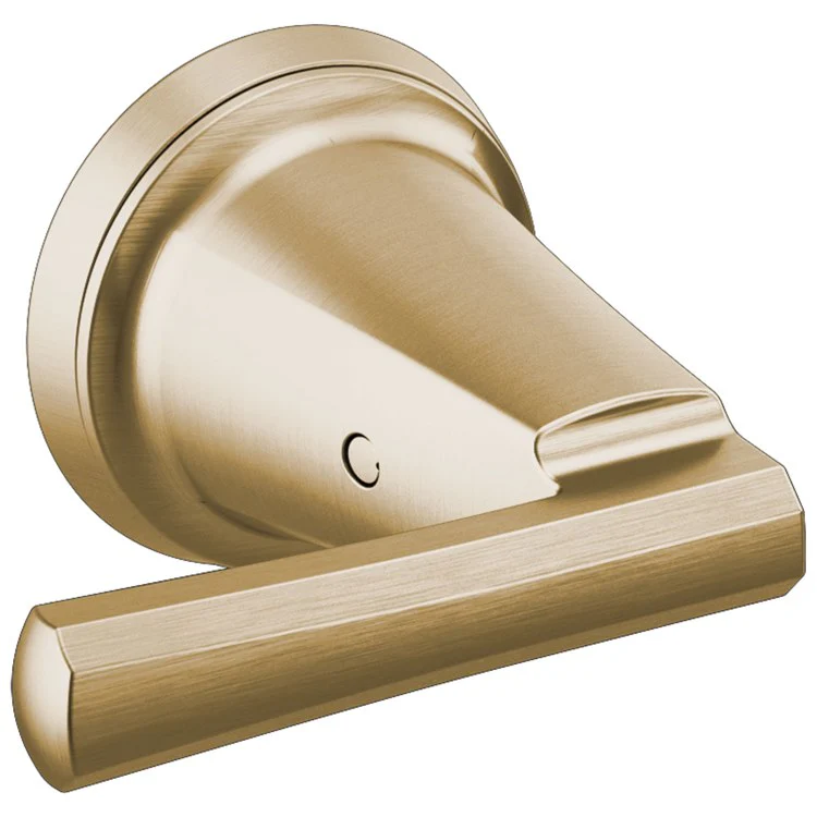 Handle Kit Invari Zinc 2 Lever Brilliance Luxe Gold ADA for Wall Mount 2 Inch - Frankwebs