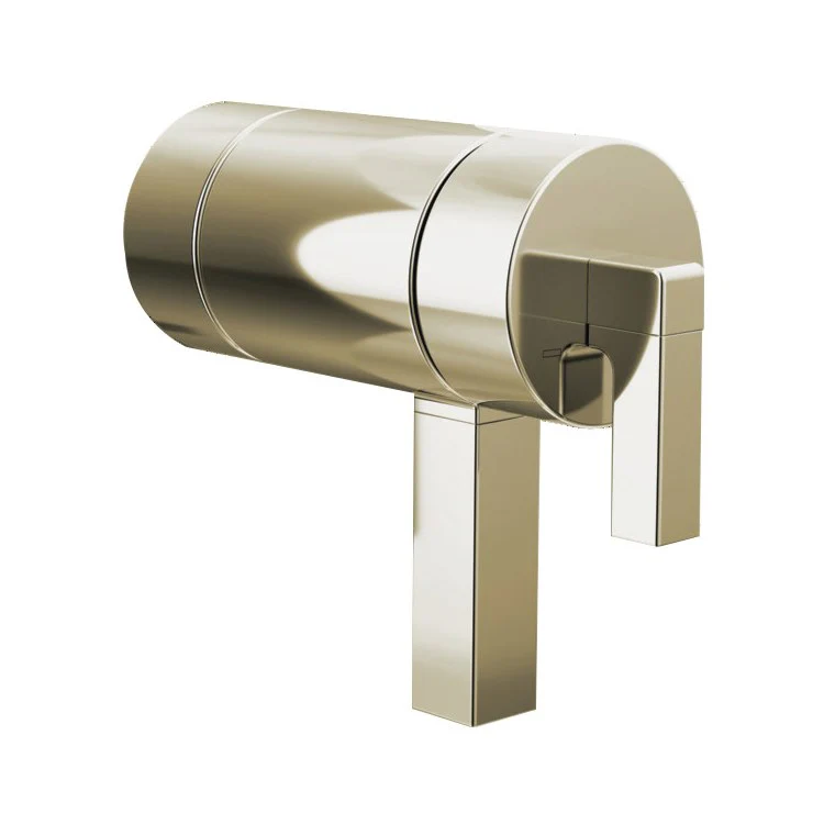 Handle Kit Frank Lloyd Wright Zinc 2 Lever Chrome ADA for TempAssure Thermostatic Valve Trim - Frankwebs