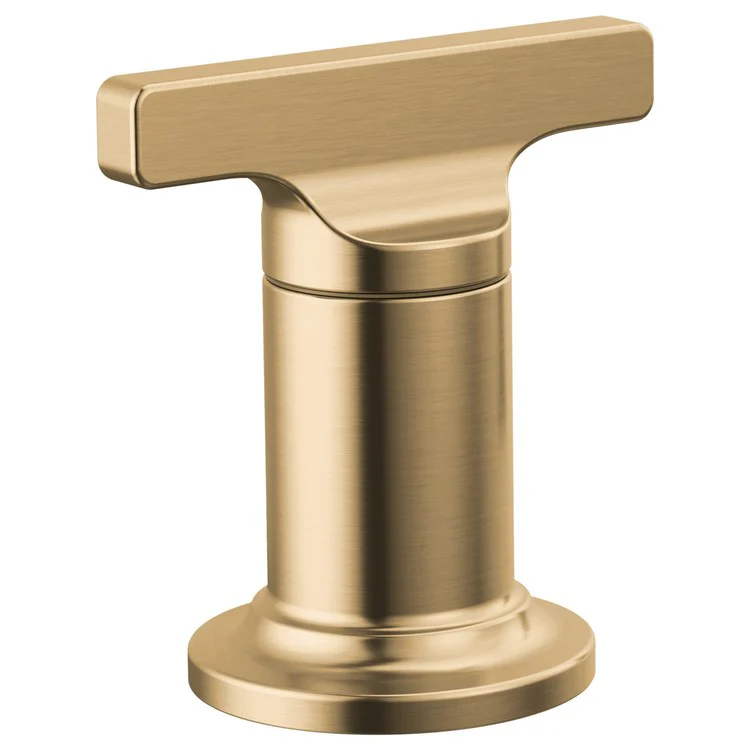 Handle Assembly Tetra 3-7/8 Inch 1 T-Handle Lumicoat Chrome ADA for Tetra Roman Tub - Frankwebs