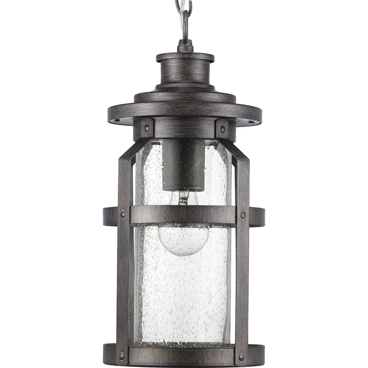 Haslett Single-Light Outdoor Hanging Lantern - Frankwebs