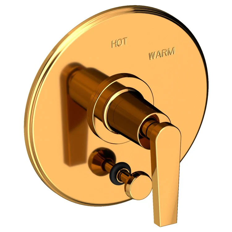 Pressure Balance Valve Trim Dorrance with Diverter Pull Knob 1 Lever Forever Brass PVD ADA Depth 3-1/6 Inch - Frankwebs
