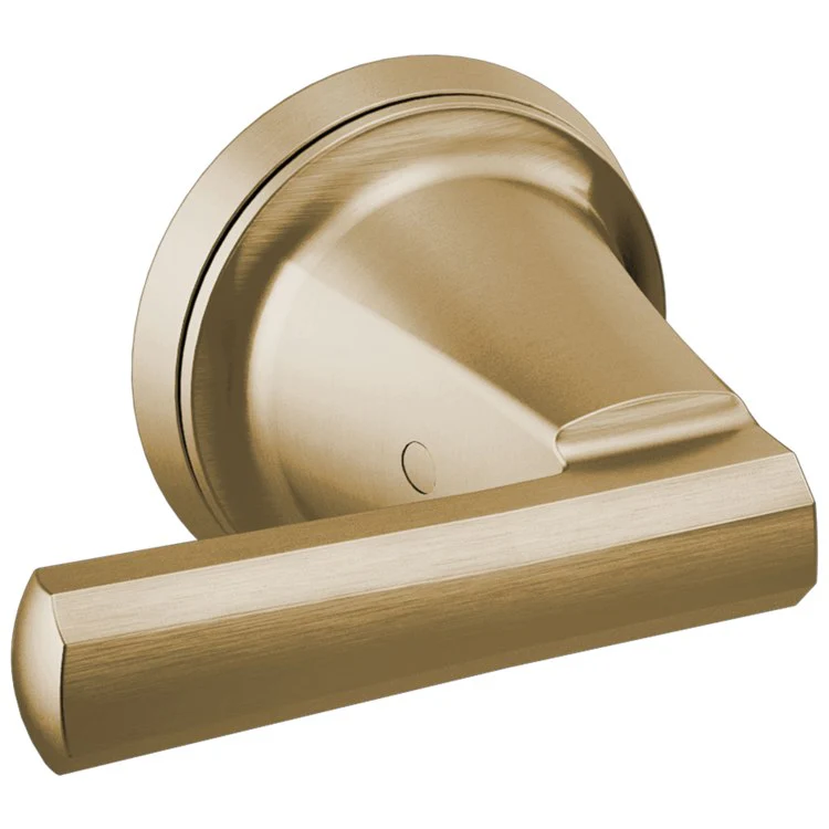 Handle Kit Levoir Zinc 2 Lever Brilliance Luxe Gold ADA for Wall Mount Roman Tub Filler 3-3/16 Inch - Frankwebs