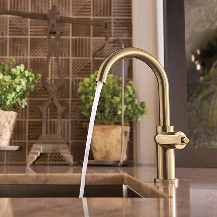 Litze Single Handle Bar Faucet with High-Arc Spout/Industrial Handle - Frankwebs