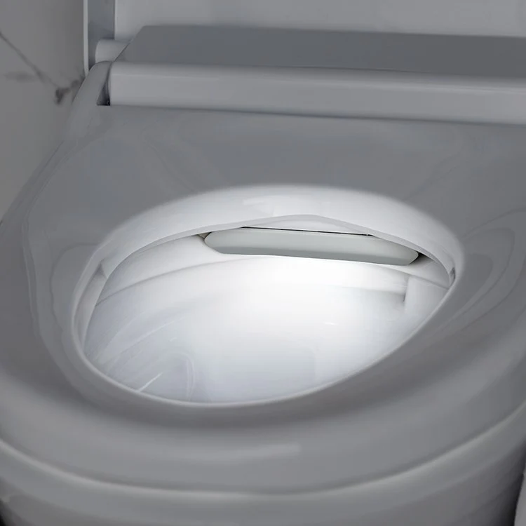 Advanced Clean 100 SpaLet One-Piece Bidet Toilet - Frankwebs