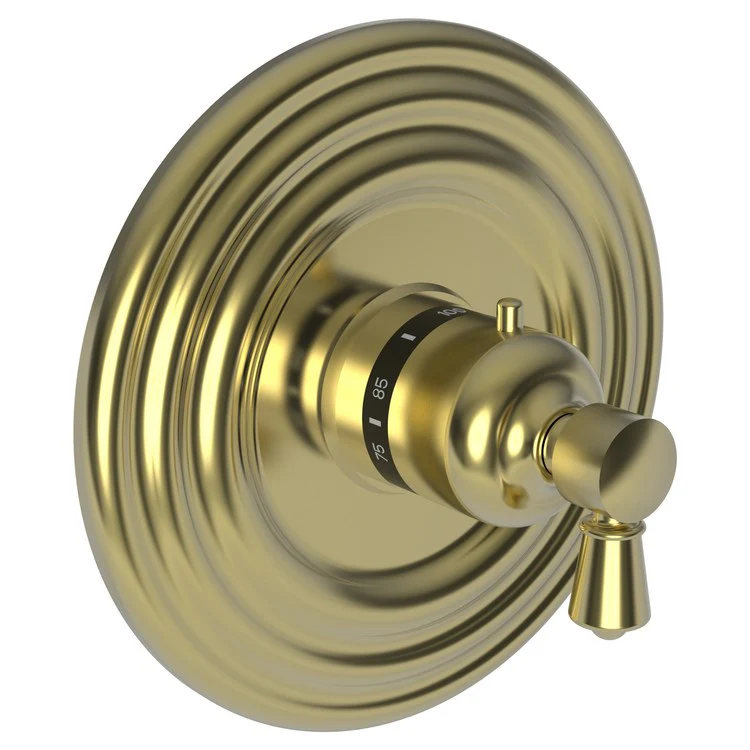Thermostatic Trim Metropole Round Plate 1 Lever Polished Brass Uncoated Living ADA for Rough Valve 1-540 Face Plate and Temperature-Adjust Handle Brass - Frankwebs