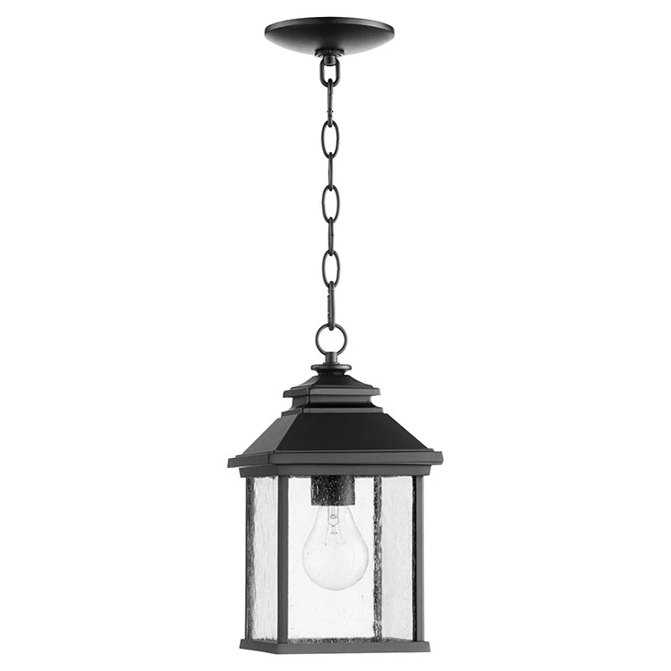 Pearson Single-Light Outdoor Hanging Lantern - Frankwebs