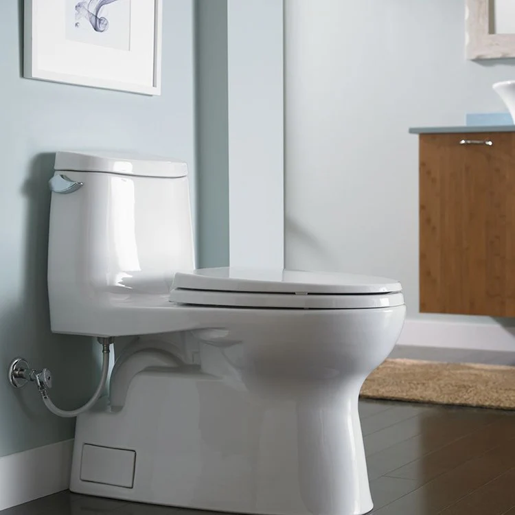 Carlyle II Elongated One-Piece High-Efficiency Toilet with Seat - Frankwebs