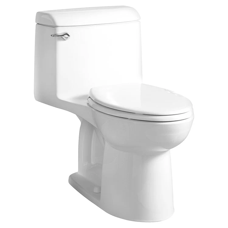 Champion 4 Elongated One-Piece Toilet with Slow-Close Seat - Frankwebs