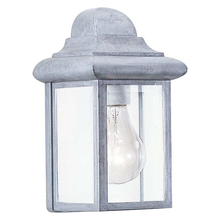 Mullberry Hill Single-Light Outdoor Wall Lantern - Frankwebs