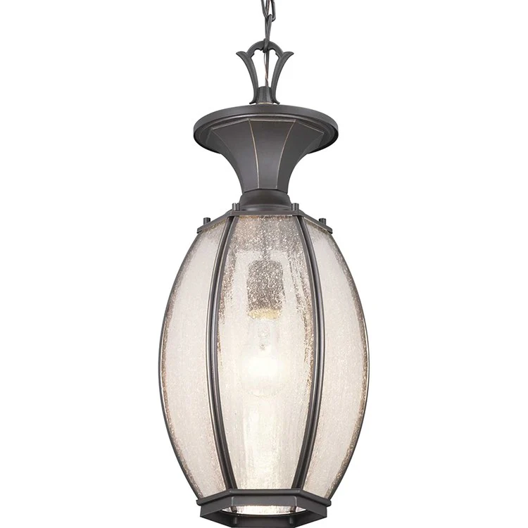 River Place Single-Light Outdoor Hanging Lantern - Frankwebs