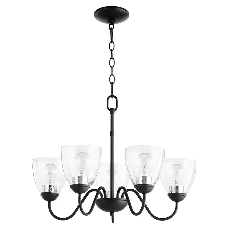 Signature Five-Light Chandelier - Frankwebs
