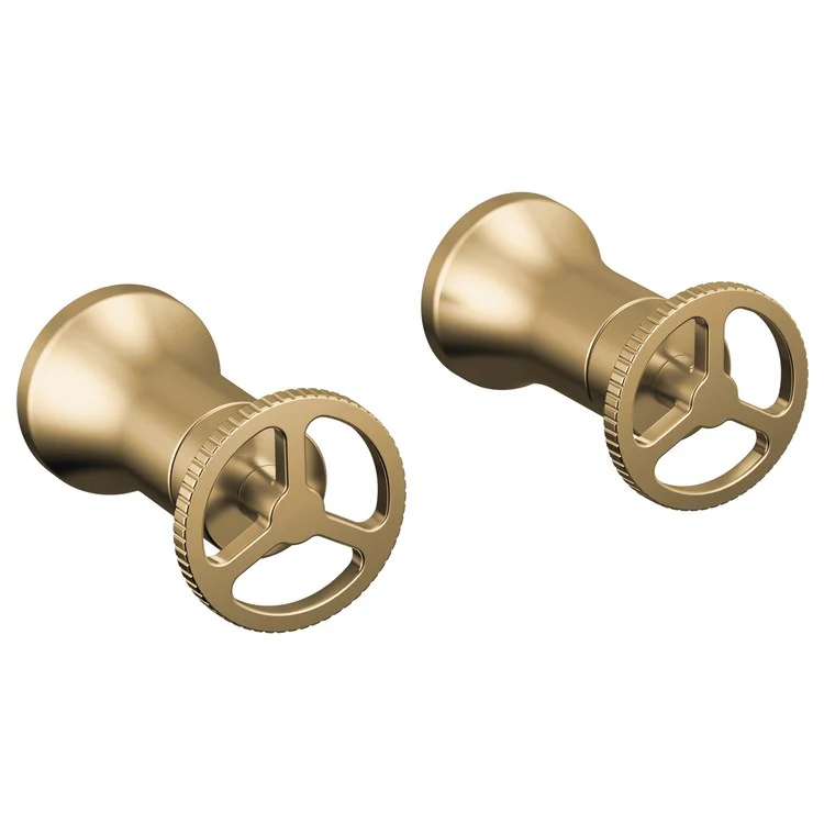 Handle Kit Trinsic Zinc 2 Wheel Wall Mount Chrome for Lavatory Faucet - Frankwebs