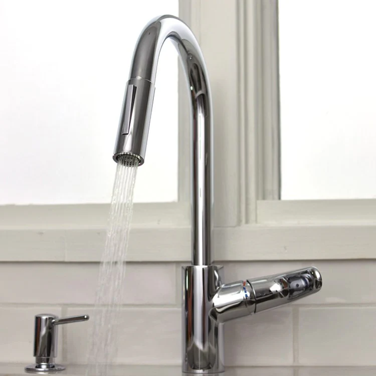 Focus Single-Hole Pull Down Kitchen Faucet with Dual Spray - Frankwebs