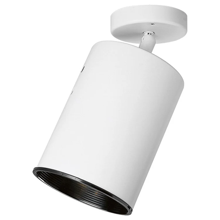 Directional Single-Light Flat Back Wall/Ceiling Light - Frankwebs