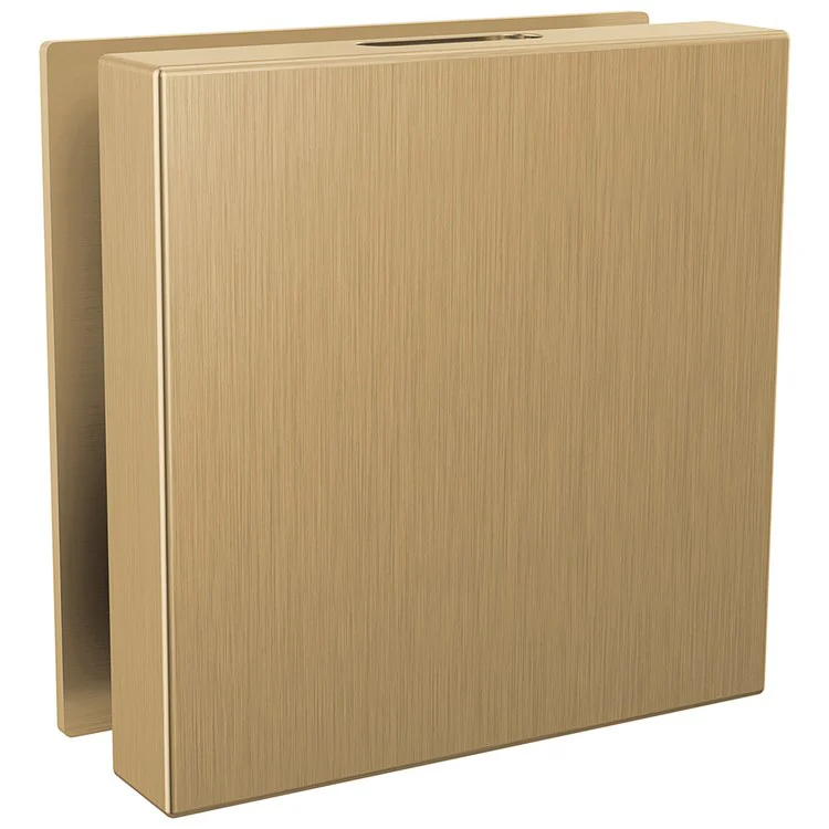 Steamhead SteamScape Deluxe System Contemporary Square Lumicoat Champagne Bronze - Frankwebs