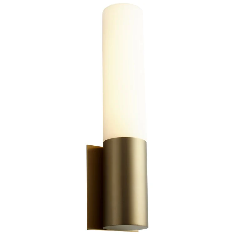 Magnum Single-Light LED Wall Sconce with Glass Shade - Aged Brass - Frankwebs