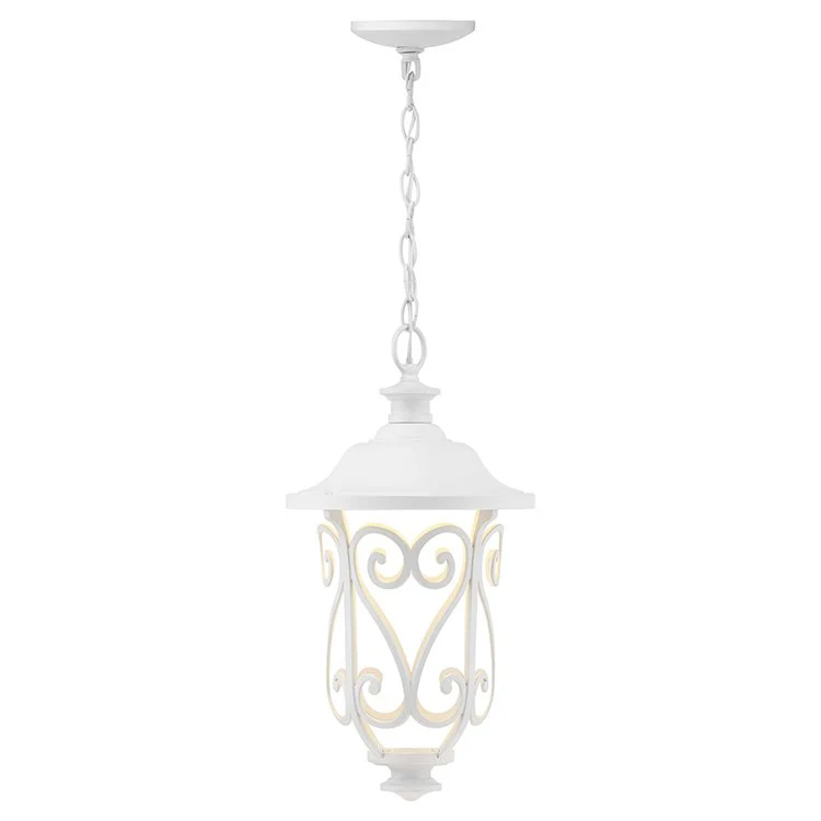 Leawood Single-Light LED Outdoor Hanging Lantern - Frankwebs