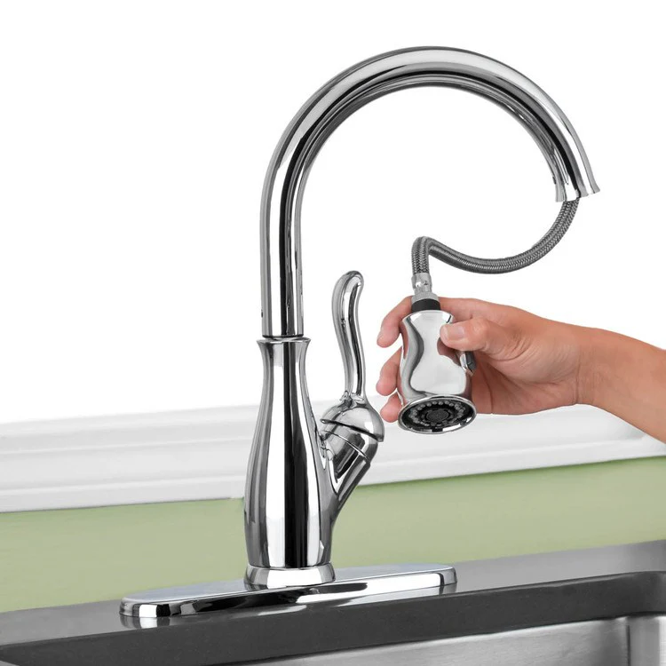Leland Single Handle Pull Down Kitchen Faucet - Frankwebs