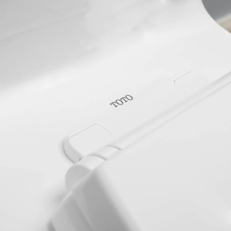 Ultimate Elongated One-Piece Toilet with SoftClose Seat - Frankwebs