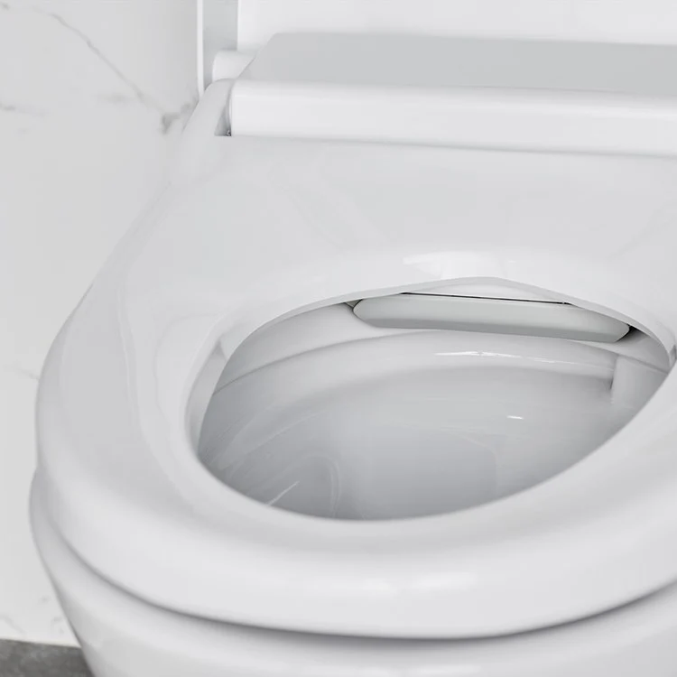Advanced Clean 100 SpaLet One-Piece Bidet Toilet - Frankwebs