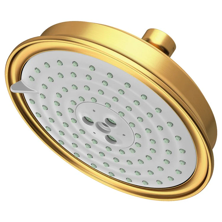 Traditional Five-Function Shower Head - Frankwebs