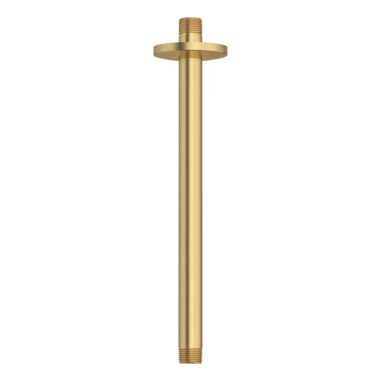 Shower Arm Rain with Escutcheon Brushed Cool Sunrise 12 Inch 1/2 IN NPT Cast Metal Ceiling Mount - Frankwebs