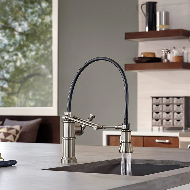 Artesso Single Handle Kitchen Faucet with Articulating Arm - Frankwebs