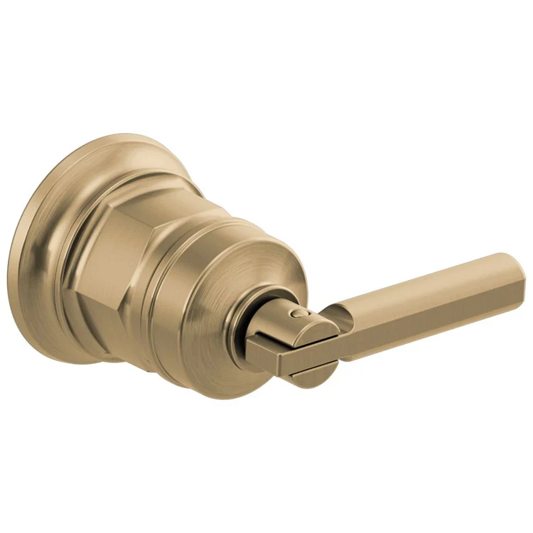 Handle Kit Invari Zinc 1 Lever Brilliance Luxe Gold for Wall Mount Lavatory 2-3/8 Inch - Frankwebs