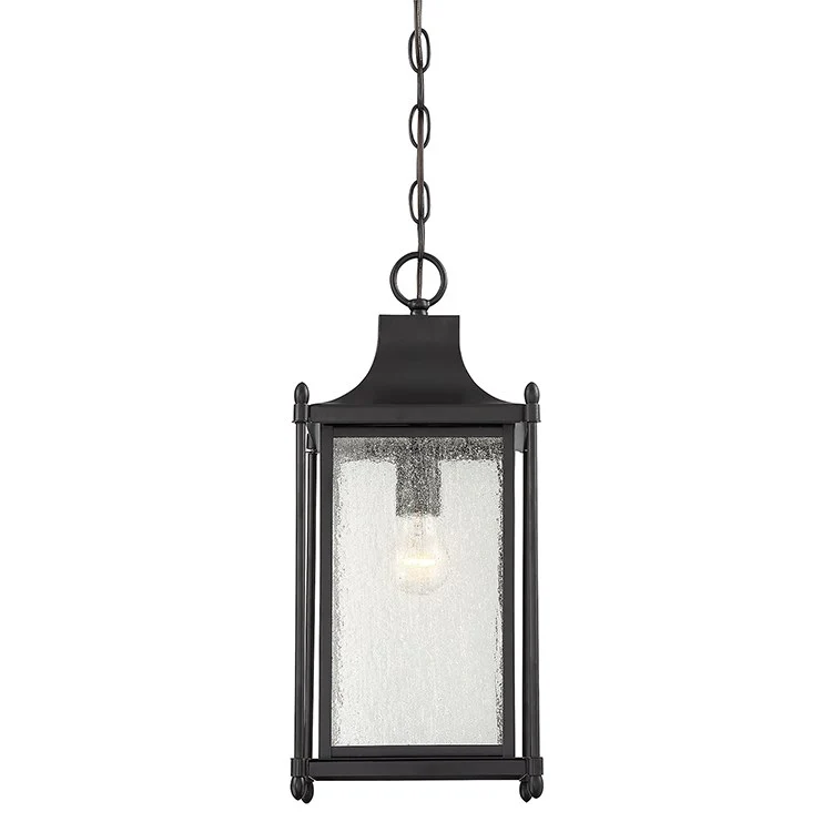 Dunnmore Single-Light Hanging Lantern - Frankwebs