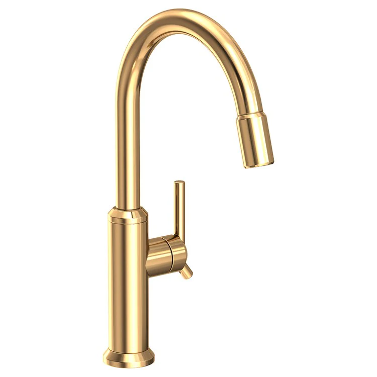 Kitchen Faucet Jeter 1 Lever ADA Polished Chrome Pull Down Spout Height 10-7/9 Inch 1.8 Gallons per Minute - Frankwebs