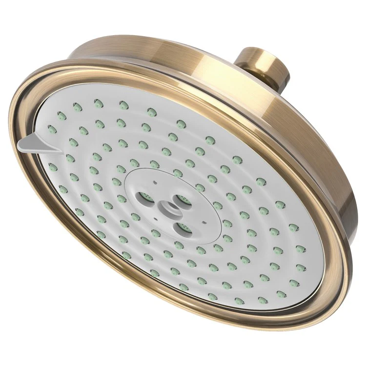 Traditional Five-Function Shower Head - Frankwebs
