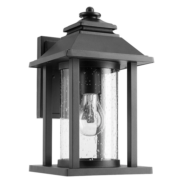 Crusoe Single-Light Medium Outdoor Wall Lantern - Frankwebs