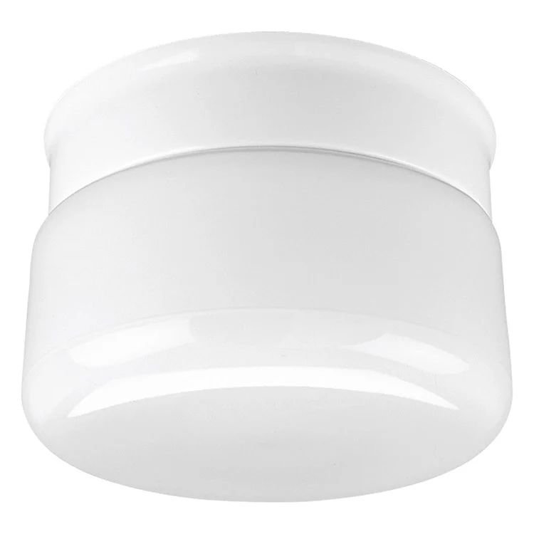 AirPro Single-Light Flush Mount Ceiling Fixture - Frankwebs