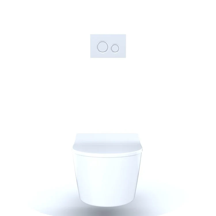 Duofit In-Wall Toilet Tank for Wall-Mount Toilets - Frankwebs