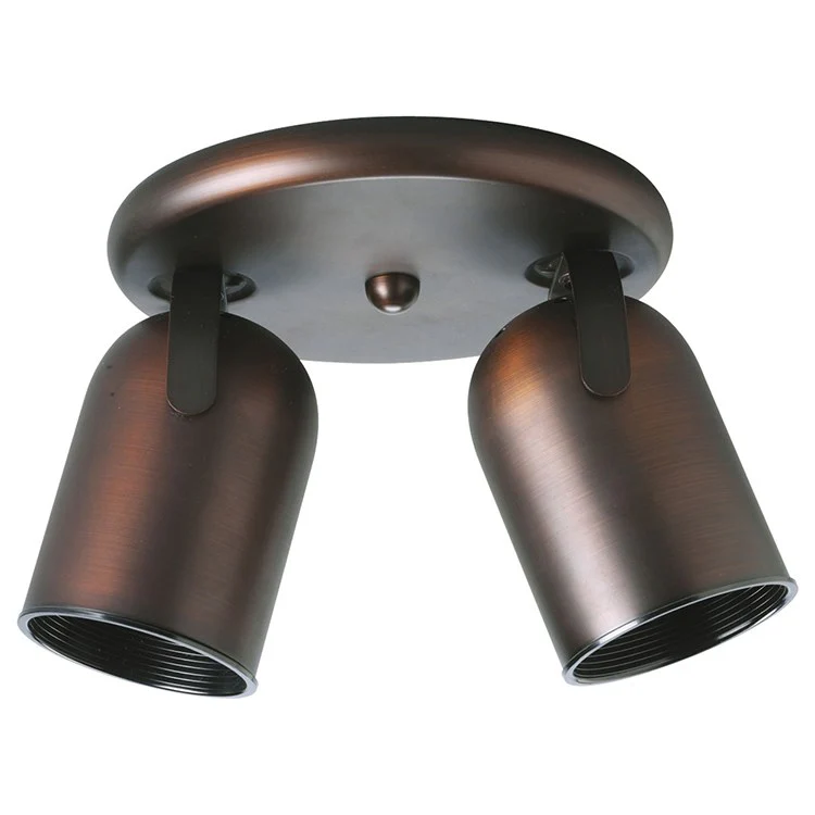 Directional Two-Light Round Back Ceiling Light - Frankwebs