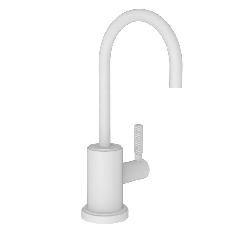 Cold Water Dispenser Muncy 1 Lever ADA Gooseneck Polished Nickel - Frankwebs
