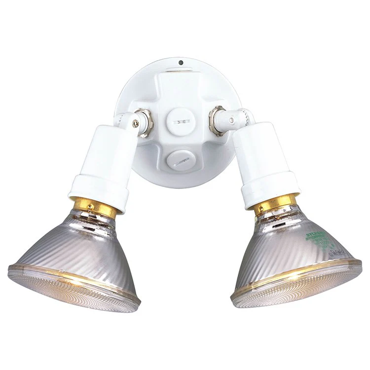 Two-Light Adjustable Exposed Flood Light - Frankwebs
