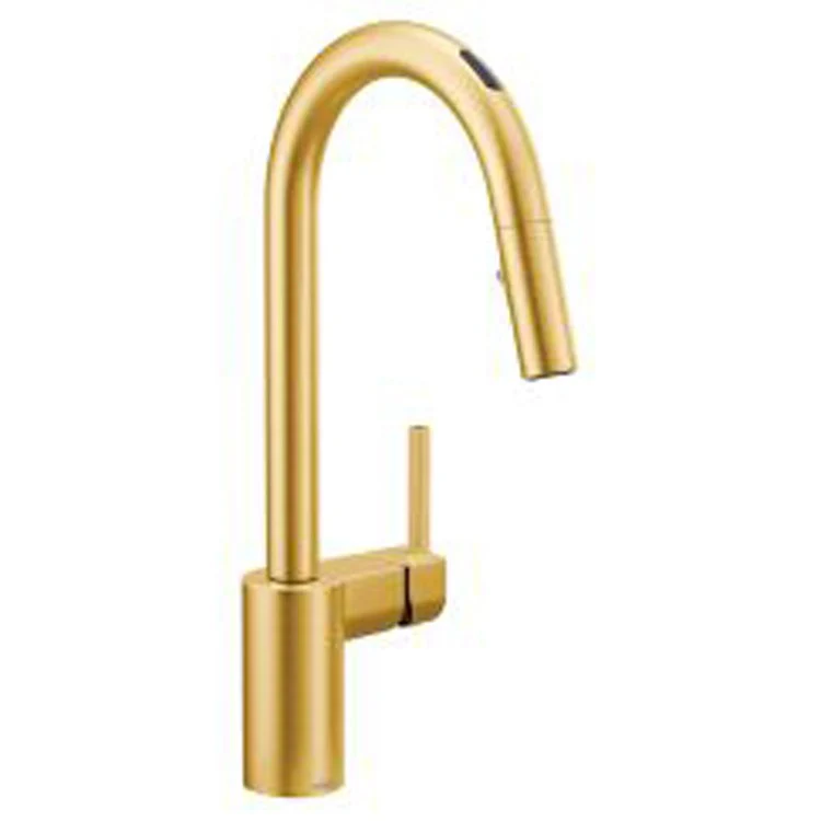 Kitchen Faucet Align Smart 1 Lever ADA Matte Black Pull Down - Frankwebs