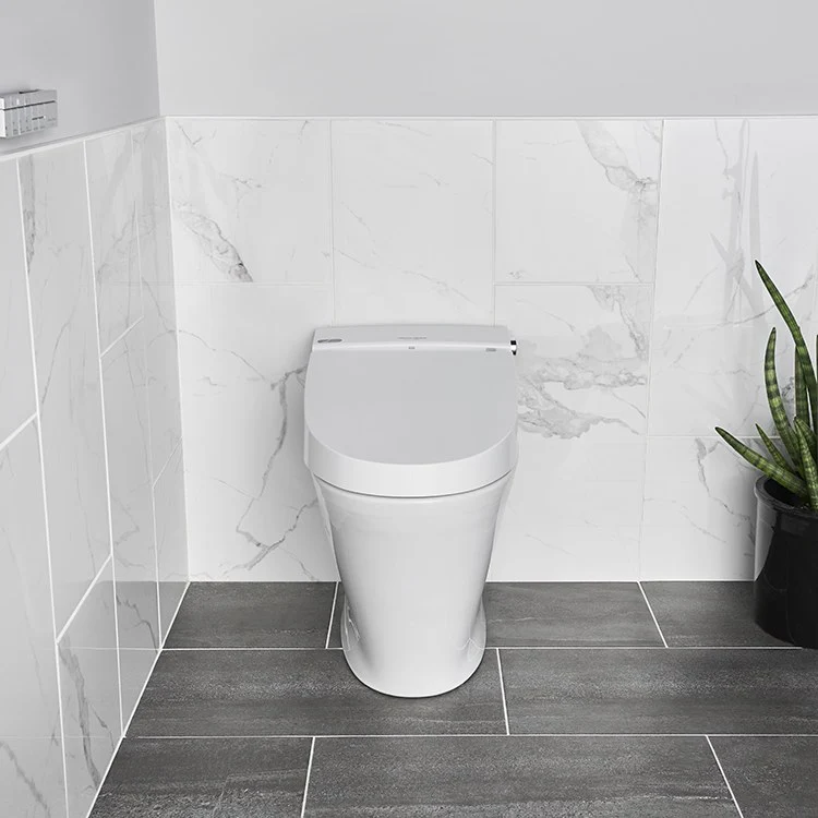 Advanced Clean 100 SpaLet One-Piece Bidet Toilet - Frankwebs