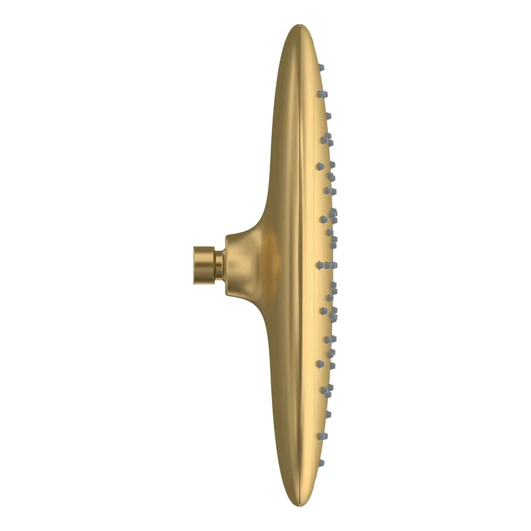 Showerhead Spectra 1 Functions Rain Brushed Cool Sunrise 11 Inch 1.8 Gallons per Minute Drenching Spray - Frankwebs