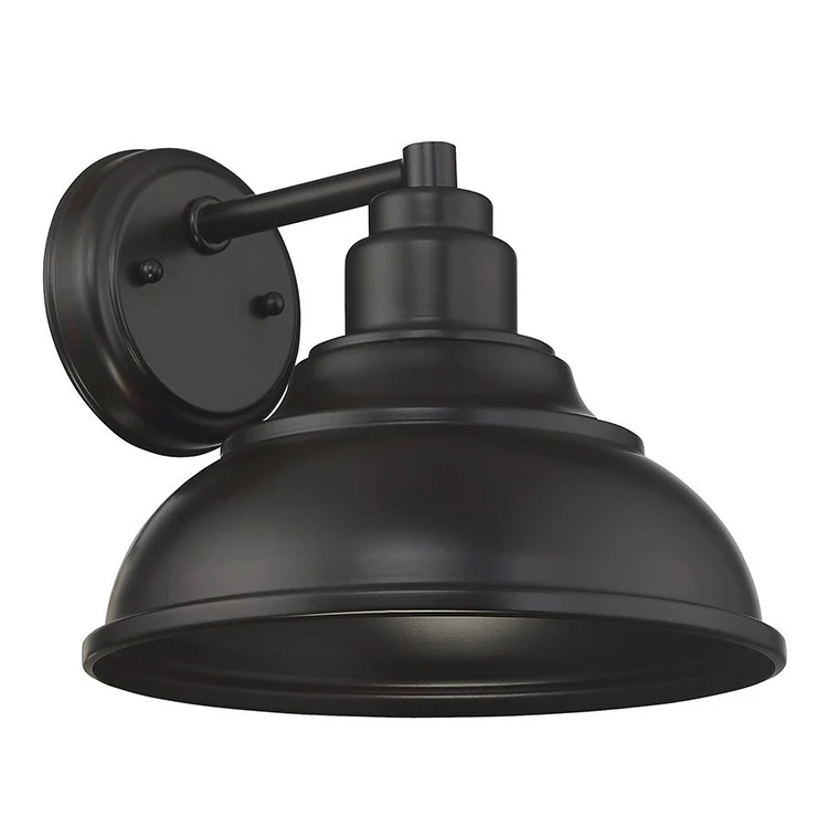 Dunston Single-Light Dark Sky Outdoor Wall Mount Sconce - Frankwebs