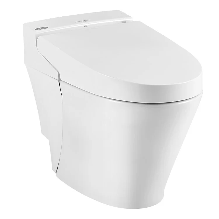 Advanced Clean 100 SpaLet One-Piece Bidet Toilet - Frankwebs